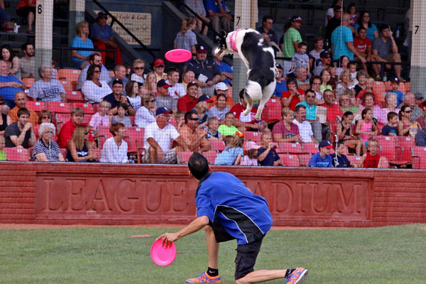 11251379_1053717984655640_3392502730292754895_o