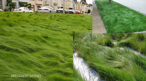 The fescue no-mow areas will need maintenance about twice a year.
