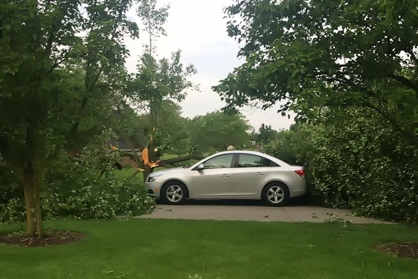 Heather Conrad's 2013 Chevrolet Cruz narrowly avoided being damaged when two trees fell around it last night. According to Heather, two trees fell and one split in half. The one that split fell just to the right and to the front of the car. The other tree fell just to the back of the car.