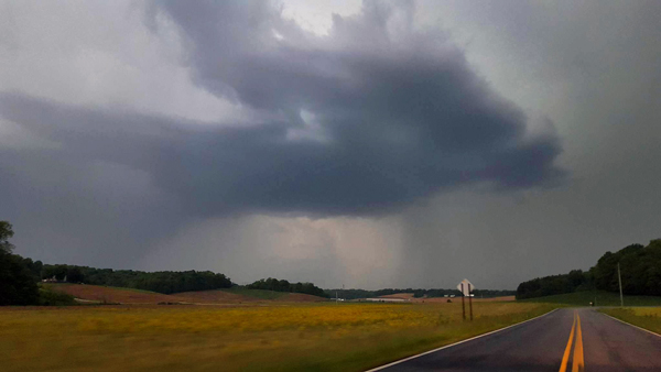 Amy Stinson took this photo on Jasper's north side.