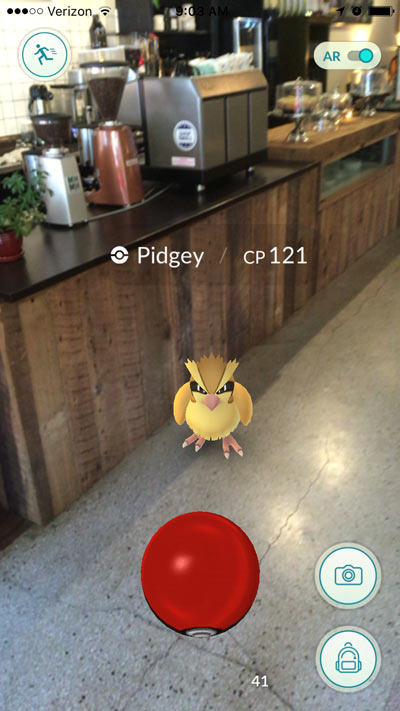 The author caught one at Cool Beans Monday.