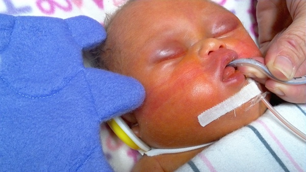 Athena before she passed away. 