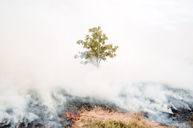 Parklands to close for controlled burn on Monday