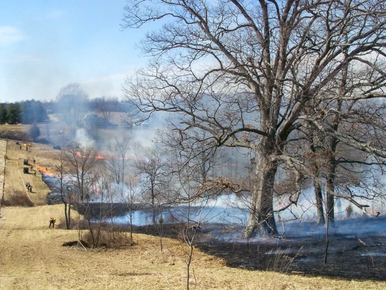 Hoosier National Forest begins prescribed fires